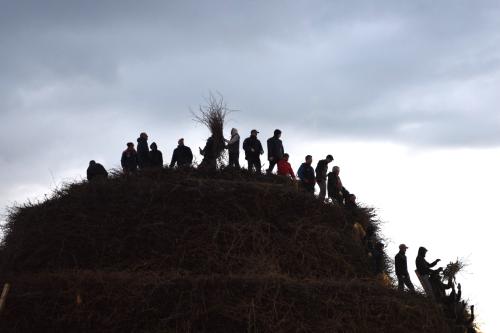 Preparazione della Fòcara di Novoli (foto di Alessandro Serio)